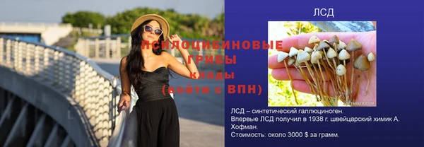 прущие крисы Белоозёрский