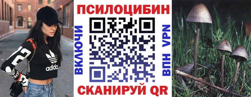 blacksprut как зайти  Наро-Фоминск  Галлюциногенные грибы Cubensis 